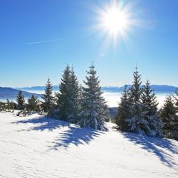Vlašić 4 bed and breakfast