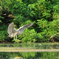 ガラツィ 6軒のゲストハウス