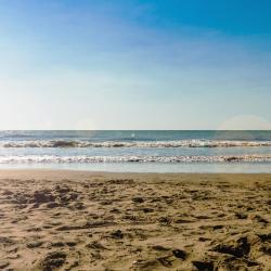 Las Gaviotas 57 hotels