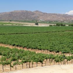 Valle de Guadalupe 107 hotéis