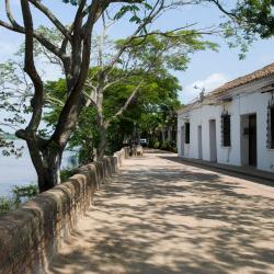 Montería 55 pet-friendly hotels
