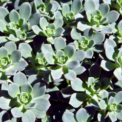 Almonaster la Real 10 accommodation