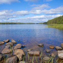 Leppävirta 4 vacation homes