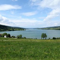 Clairvaux-les-Lacs 8 holiday homes
