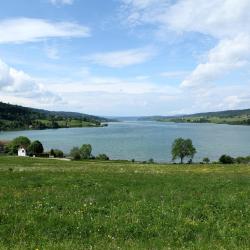 Clairvaux-les-Lacs 10 villas