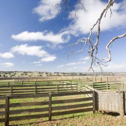 Gunnedah 16 hotelli