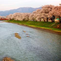 Daisen 4 hotely