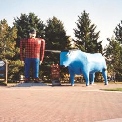 Bemidji 6 hotels with pools