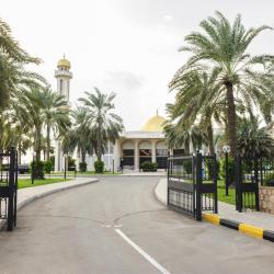 Sohar 3 beach rentals