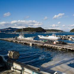 Ishinomaki 7 guest houses