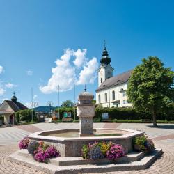 Wals 21 hotelů