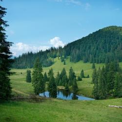 Arieşeni 41 ski resorts