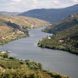 Castelo de Paiva 41 of the cottages