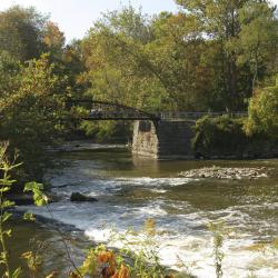 Cuyahoga Falls 7 pet-friendly hotels