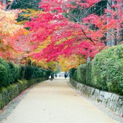 Kojasan 18 of the ryokans