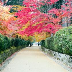 Koyasan 16 ryokans