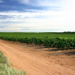 Mildura 84 hotels