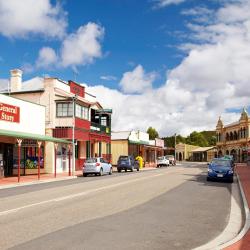 Zeehan 3 Hotels