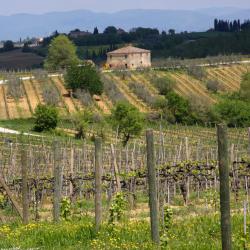 San Quirico dʼOrcia 8 hotel spa