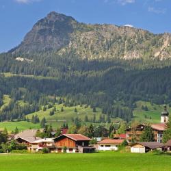 Tannheim 3 farmy