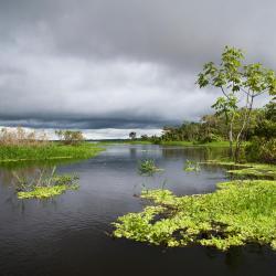 Pucallpa