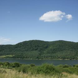 Żywiec 17 holiday homes