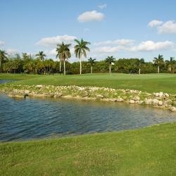 Doral 4 hotels