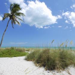 Captiva 216 hotels