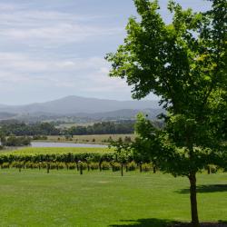 Mount Dandenong 3 luxury hotels