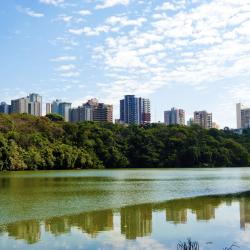Maringá 324 hotéis