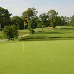 Pinehurst 39 hotelů