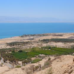 Ein Gedi 5 vacation rentals