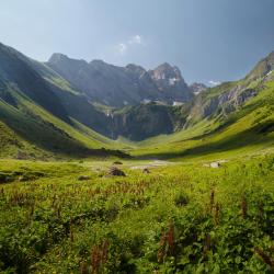 Sankt Gallenkirch 3 homestays