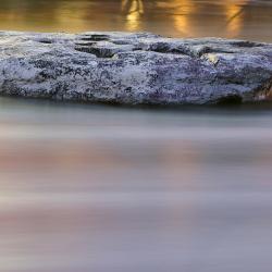 Round Rock 111 hotels
