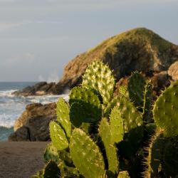 Zipolite 39 viešbučiai