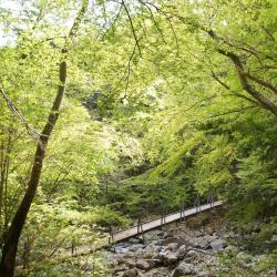 Higashiizu 16 4-star hotels