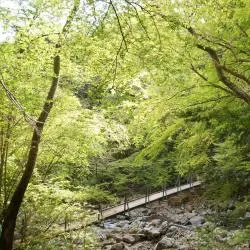 東伊豆町 26軒の旅館