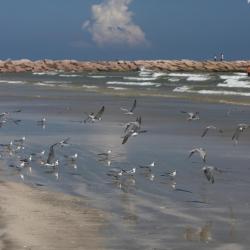 Harlingen 20 hotels with parking