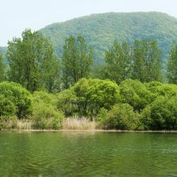 Gapyeong 13 glampingpladser