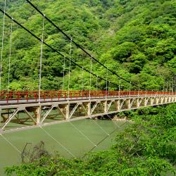 Uji 8 hotels with parking