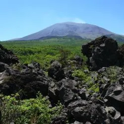 嬬恋村 29軒のバケーションレンタル