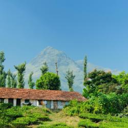 Kalpetta 9 resorts
