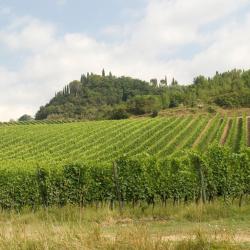 Poggibonsi 5 farm stays