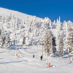 Vuokatti 133 ski resorts
