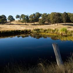 Hepburn Springs 95 hôtels