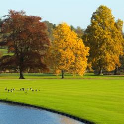 Saffron Walden 20 cheap hotels