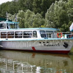 Patince 10 of the holiday rentals