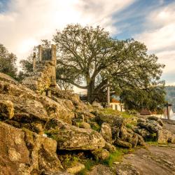 Arouca 5 country houses