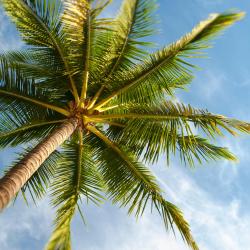 Vecindario 53 cheap hotels