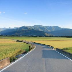 番山岳玲民宿評價、特色體驗、房價資訊、訂房連結 – 親子友善與團體包棟首選 - 照片 14